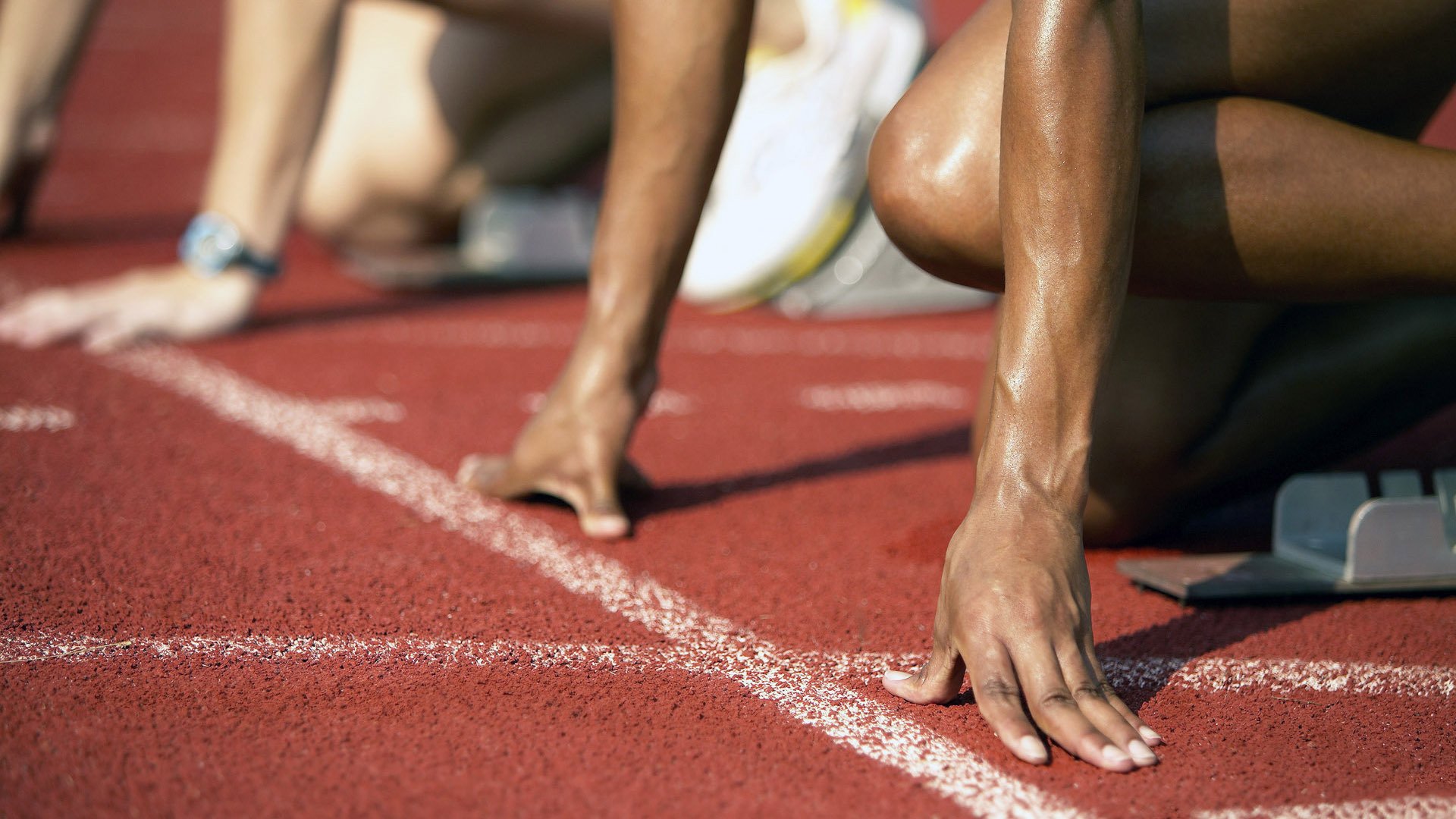 青岛队冲击季后赛，现场气氛火热！，青岛队首发